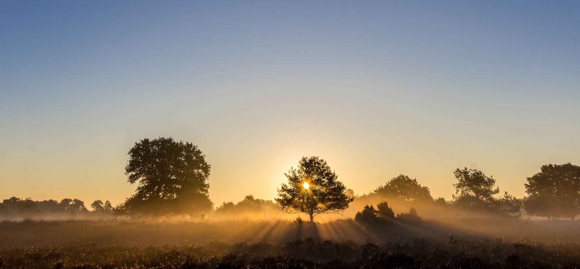 Onderzoek natuurbegraven