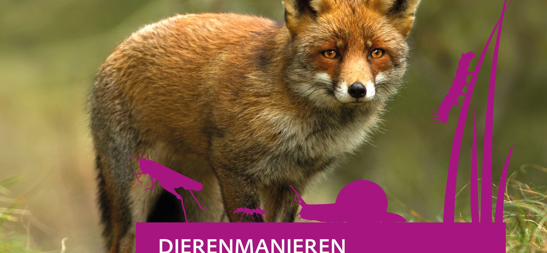 Speurtocht dierenmanieren