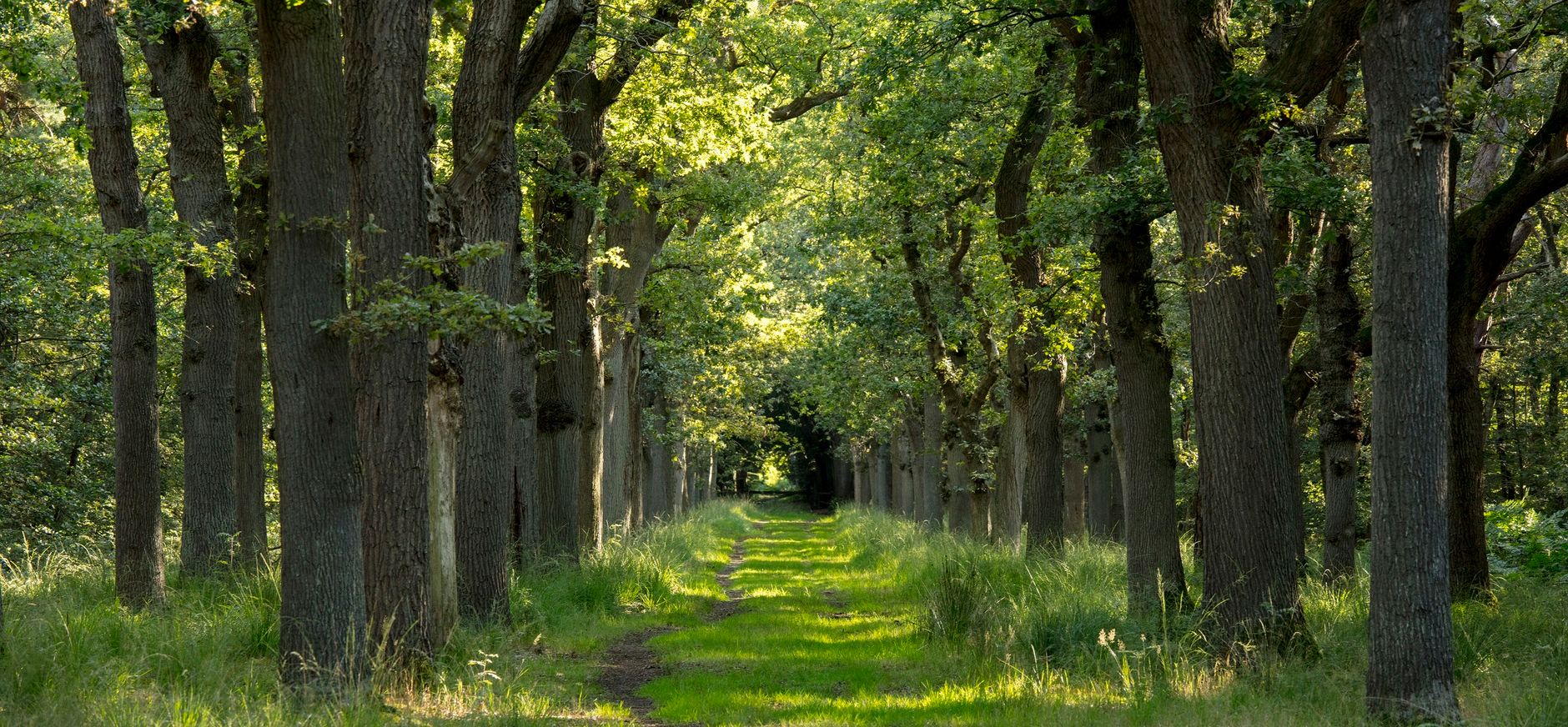 Lycklamabos - Natuurmonumenten