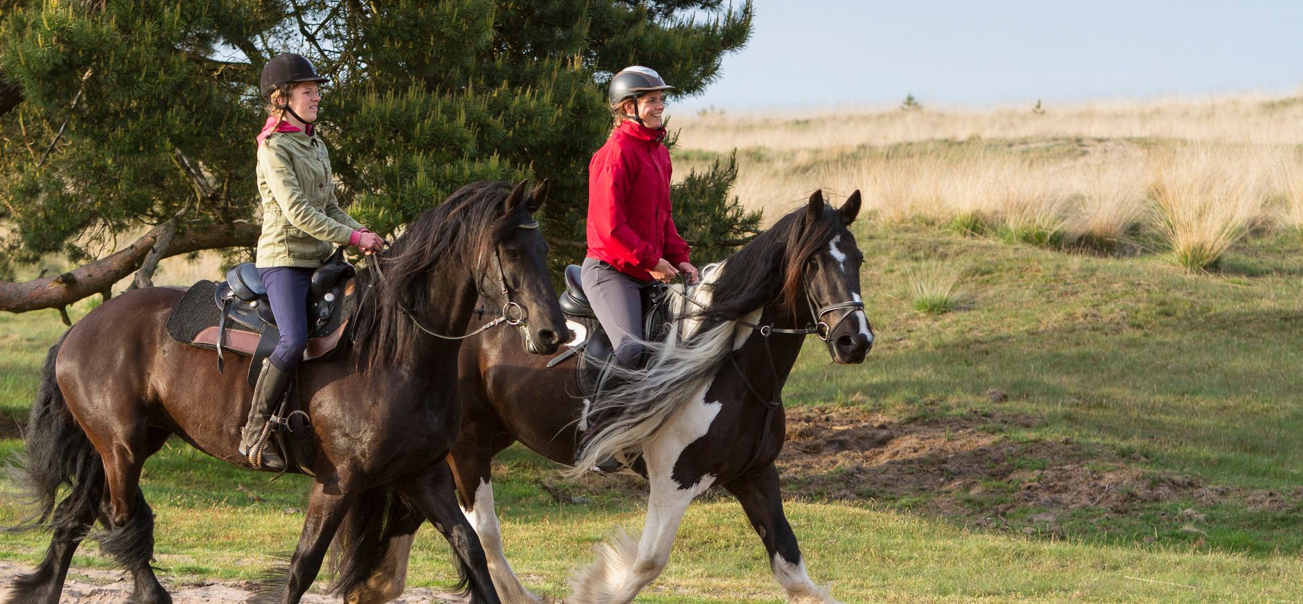 paardrijden in een natuurgebied