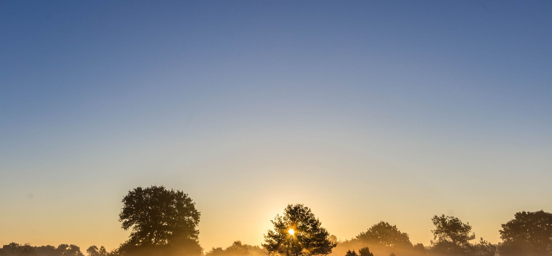Onderzoek natuurbegraven