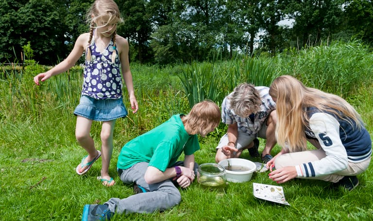 Ontdek het waterleven