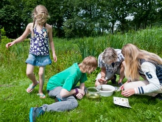 Ontdek het waterleven
