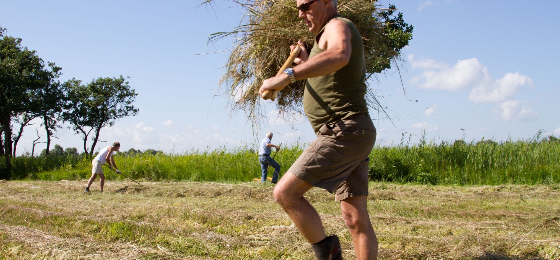 Kom een dagje hooien!