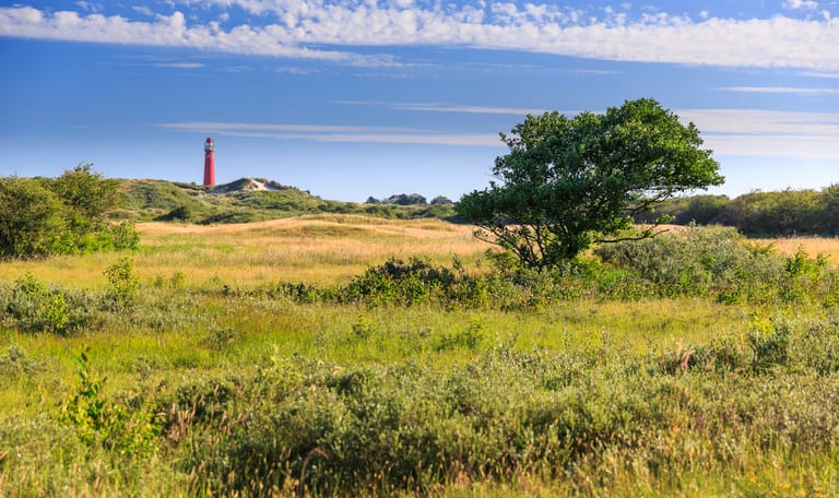 Schiermonnikoog
