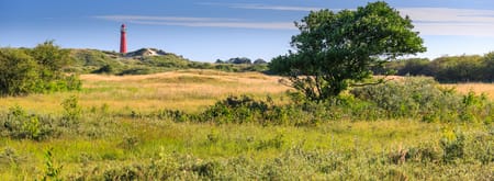 Schiermonnikoog