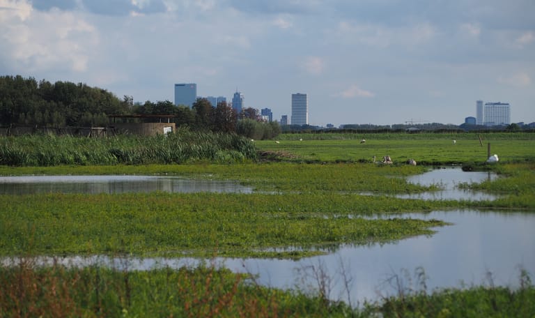 Uitkijksilo Ackerdijkse Plassen