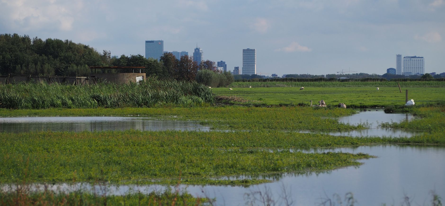 Uitkijksilo Ackerdijkse Plassen