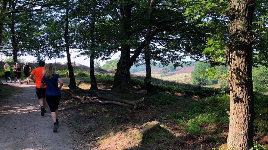 Impressie van de Zevenheuvelenroute op Veluwezoom