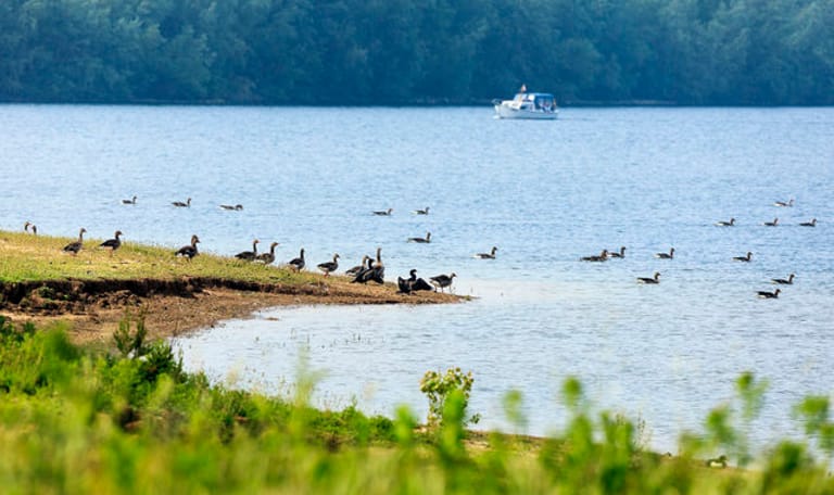 Vaalwaard Plas