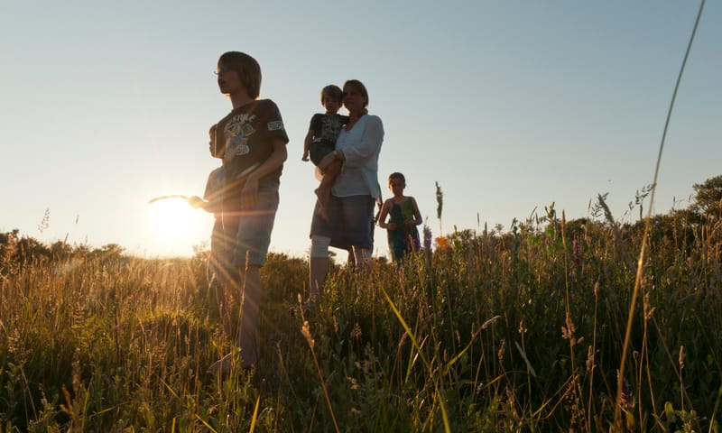 Duin- en Kruidberg wandelen