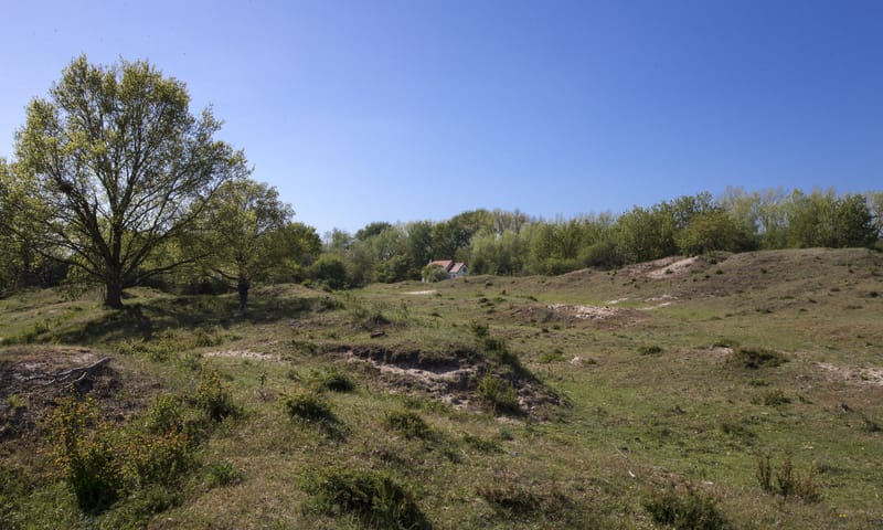 Duinen Duinen 10