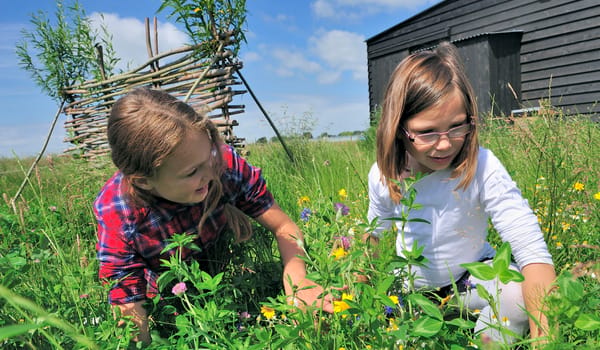 Bloemenspeurtocht over het Rotterdams Platteland
