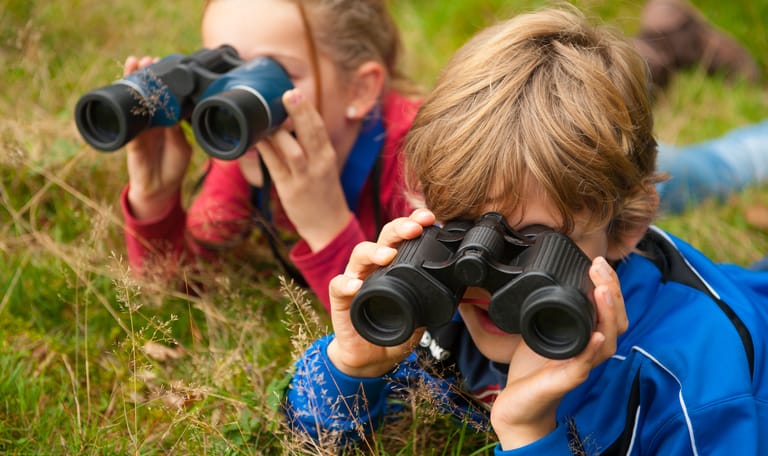 Oerrr speuren naar wild Veluwezoom - Zomer