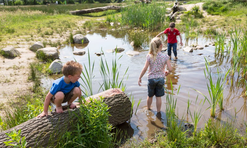 Wereld van OERRR speelnatuur