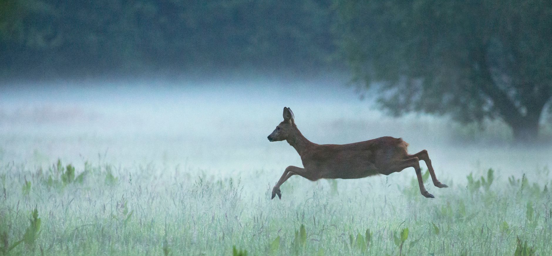 Realisatie recroduct 'Poort van Pauwels'
