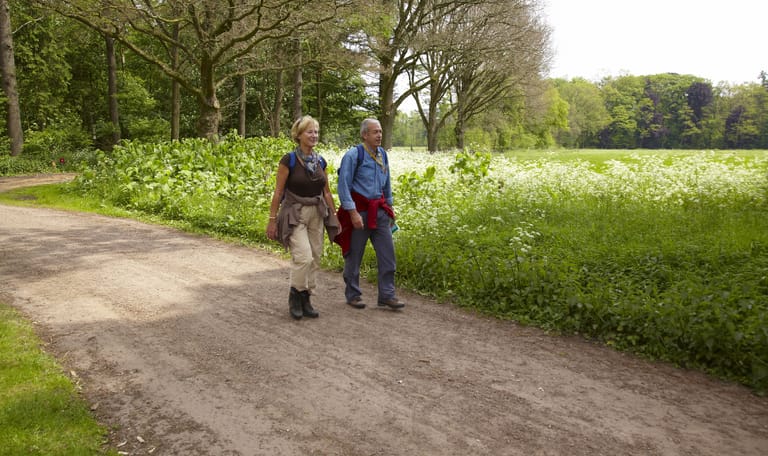 Wandelen in Twente