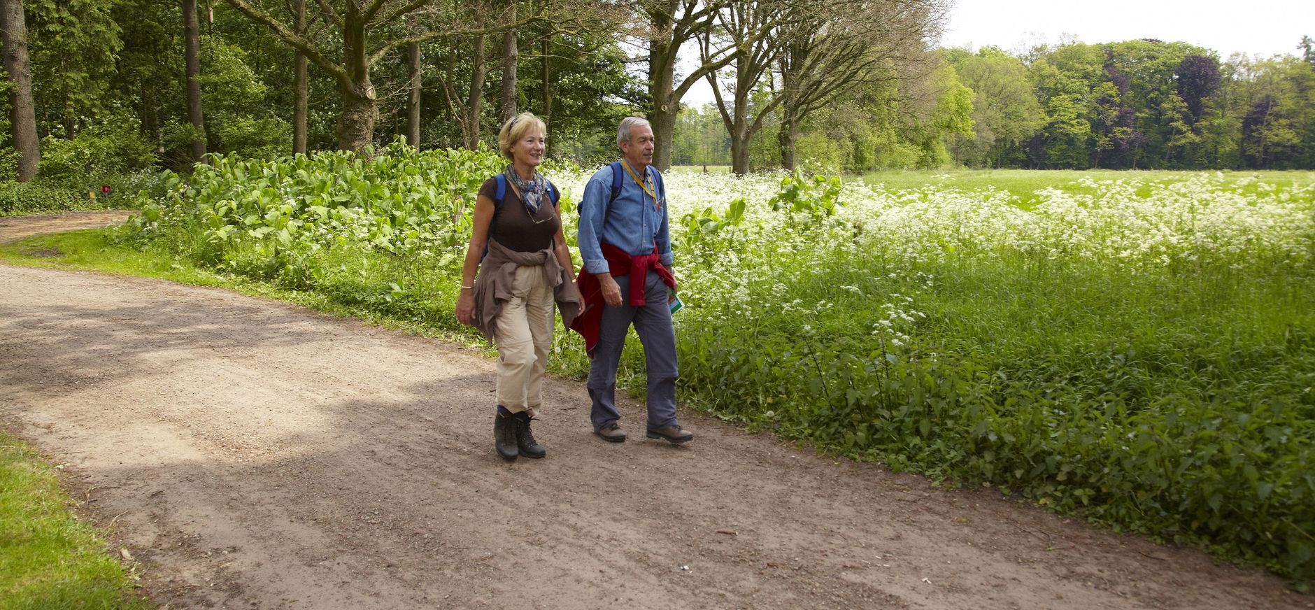 Wandelen in Twente