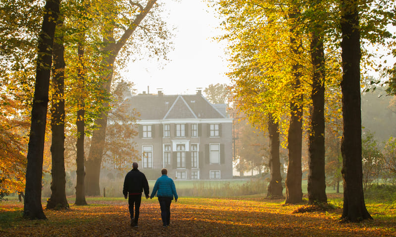 Ontdek de herfstpracht op Boekesteyn in 's-Graveland