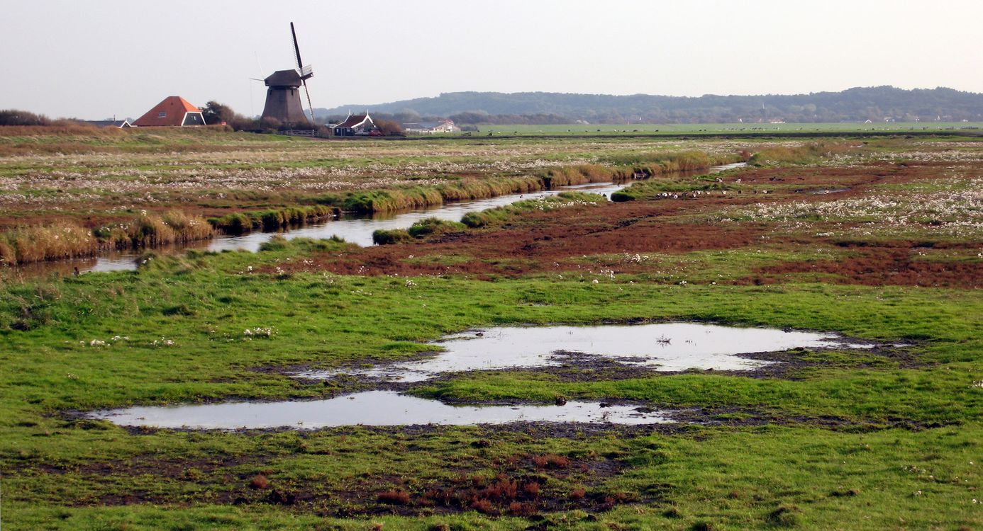 Natura 2000 Harger- en Pettemerpolder