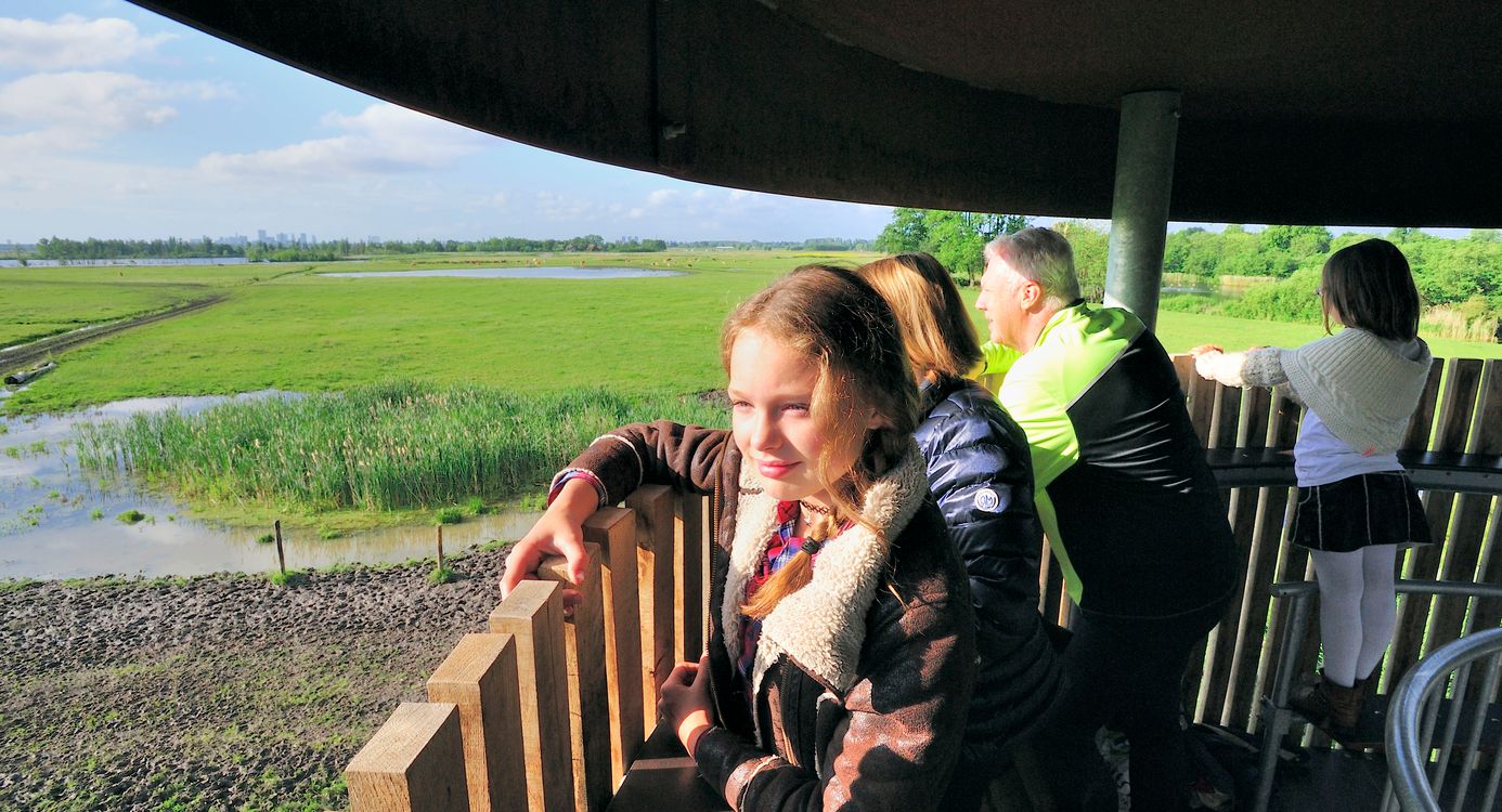 Uitkijktoren de Tureluur Ackerdijkse Plassen