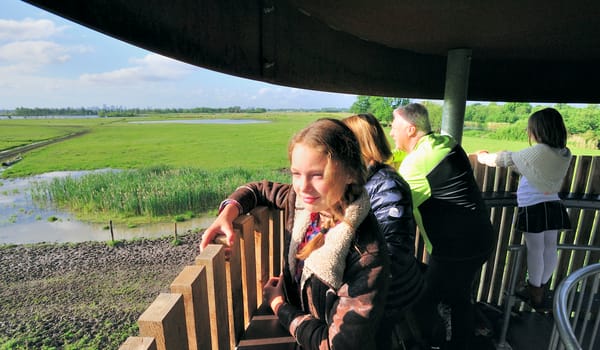 Uitkijktoren de Tureluur Ackerdijkse Plassen
