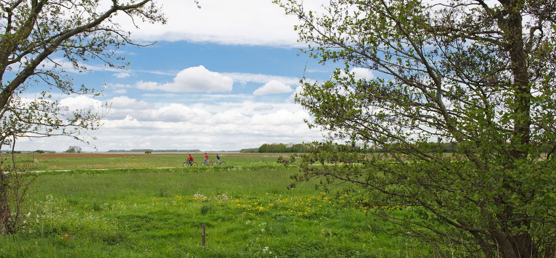 Veluwemeerkust