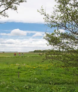 Veluwemeerkust