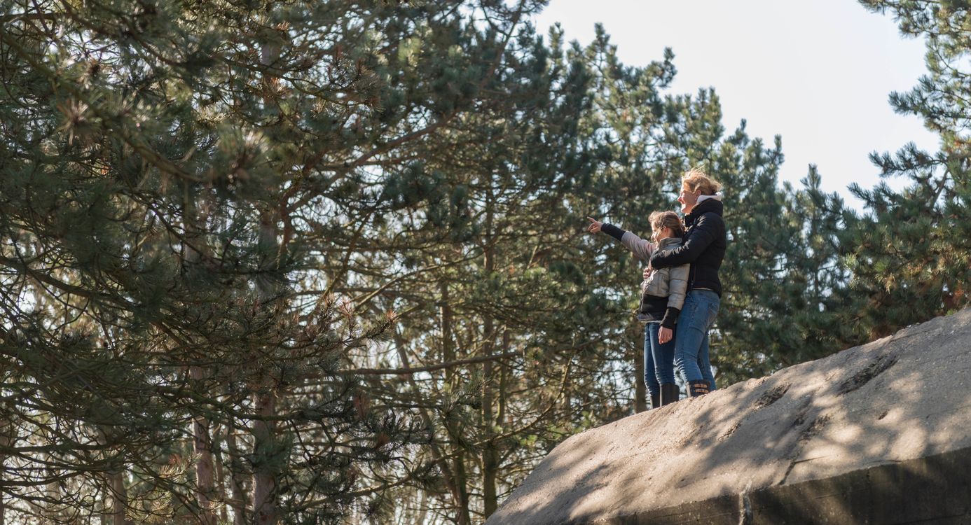 Broedgebied van de watersnip