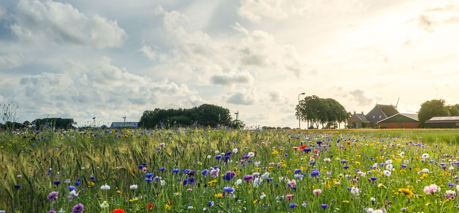 Natuur en landbouw