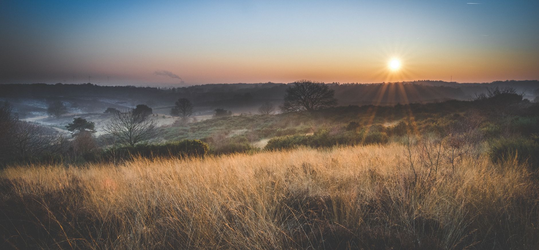 Veluwe