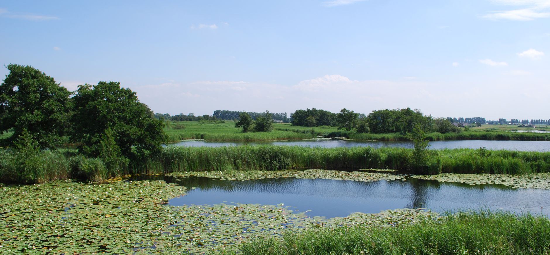 Natuurgebied Botshol