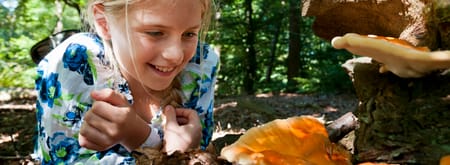 OERRR Op zoek naar paddenstoelen