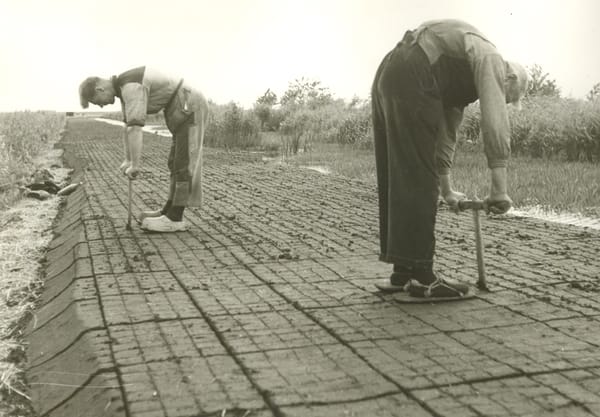 turf steken
