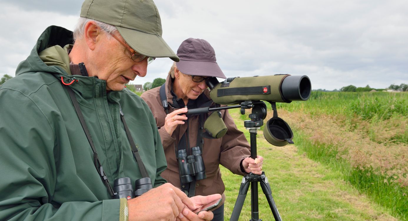 Vogels spotten Moergestelse Broek