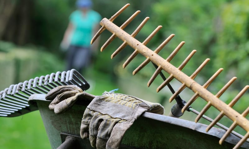 Wat doen wij op Gooilust