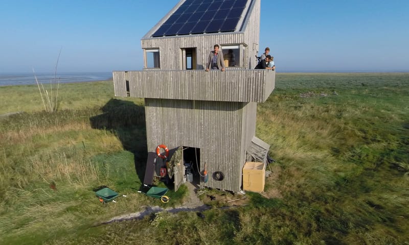 Vogelwachters