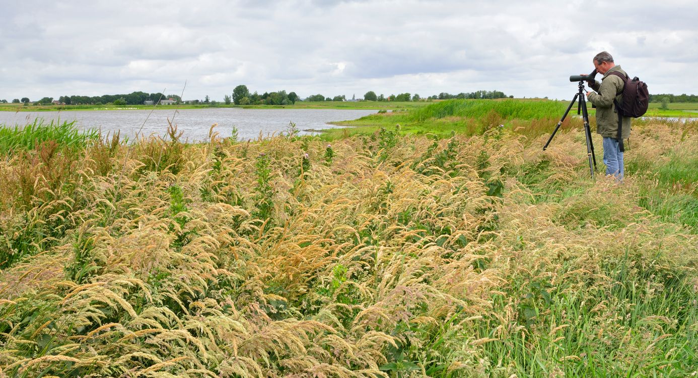 Wandelen in Botshol