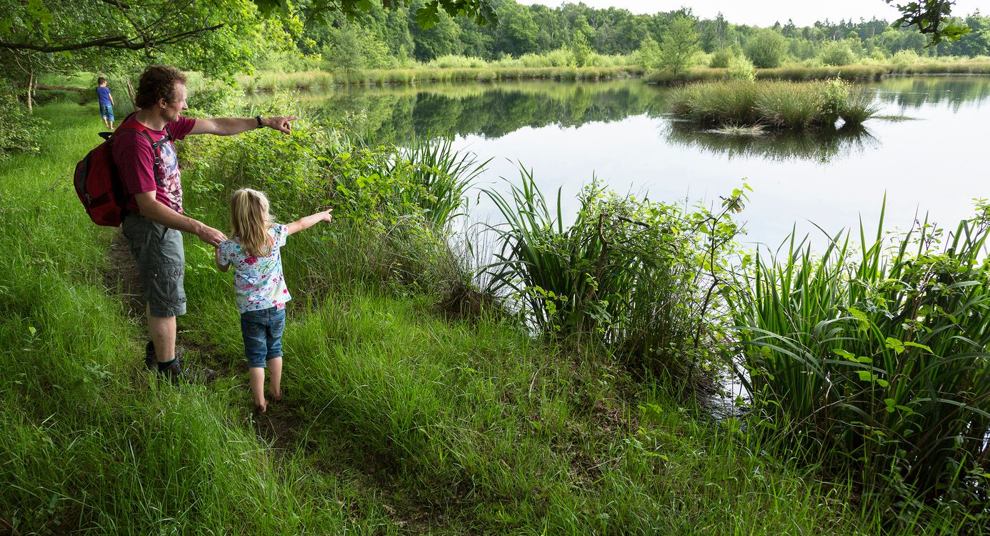 Wandelen in Witte Veen