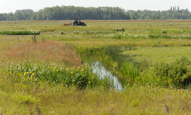 Wat wij doen in Moergestelse Broek