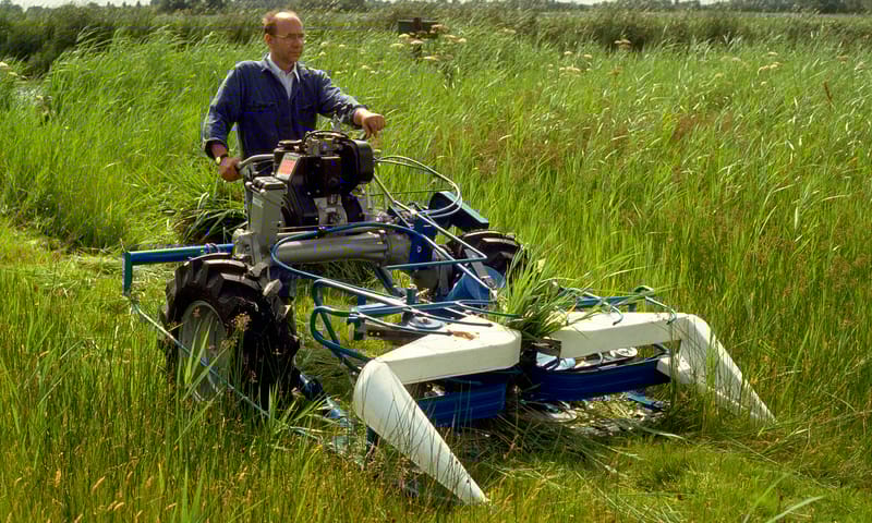 Wat wij doen in Wormer en Jisperveld