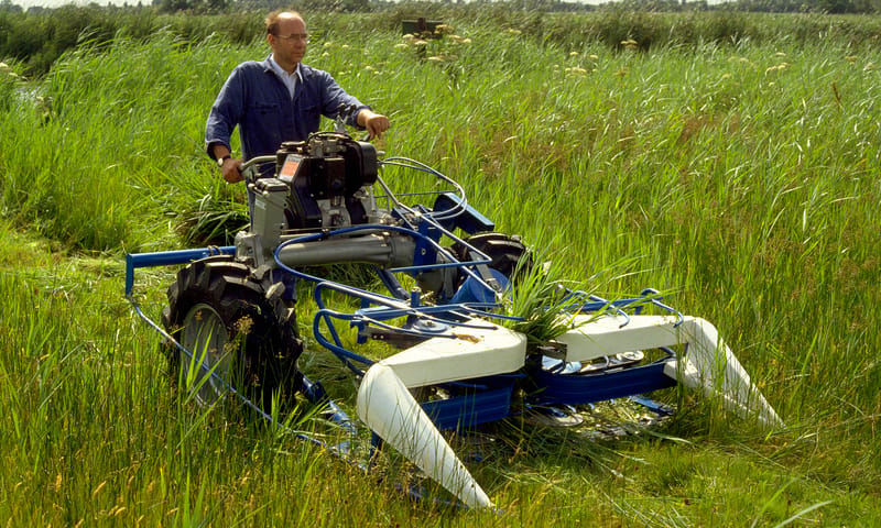 Wat wij doen in Wormer en Jisperveld