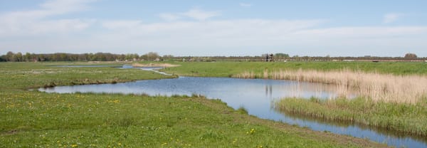 Weide Eemland