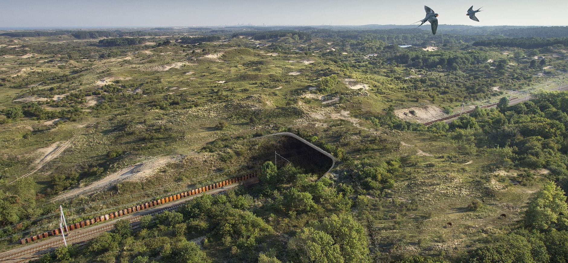 Natuurbrug Duinpoort