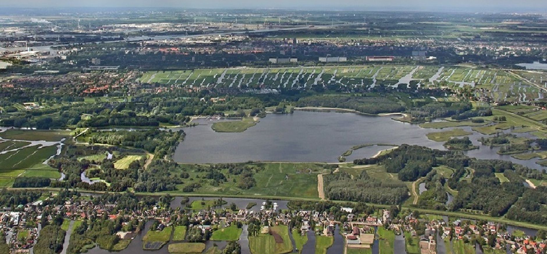 wetlands