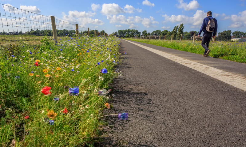 Groene Halte Rodenrijs ligt pal aan het Polderpad