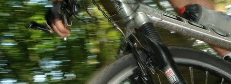MTB Rucphense bossen