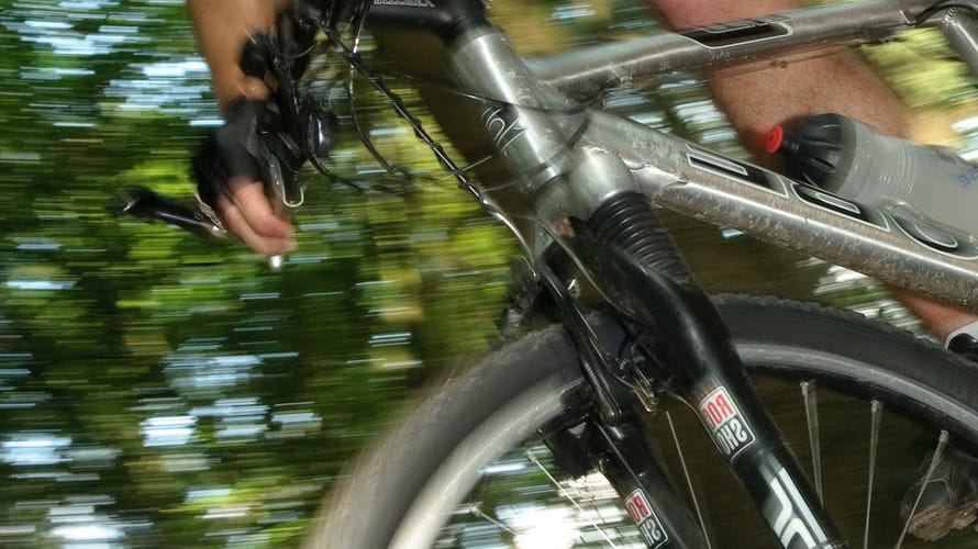 MTB Rucphense bossen