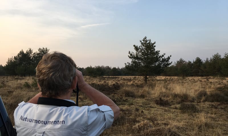 Boswachter met verrekijker