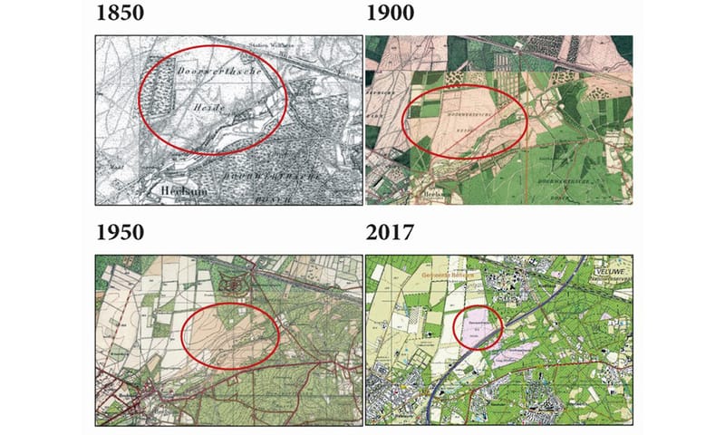 Leefgebied gladde slang rondom Doorwerth en Wolfheze 1850 - 1900 - 1950 - 2017
